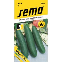 OKURKY Sal LINDA F1 MIX 1,3g - SEMO | FLORASYSTEM