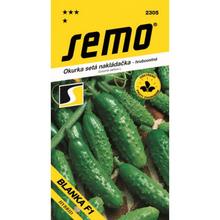 OKURKY NAKL BLANKA F1 1,5g - SEMO | FLORASYSTEM