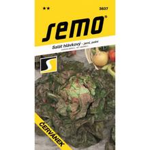 SALÁT HL.JARNÝ Červánek 0,6g - FLORASYSTEM