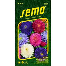 ASTRA ČÍNSKÁ SUPER PRINC SMĚS 0,5g - SEMO | FLORASYSTEM