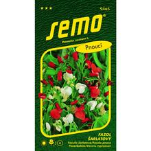 Fazol šarlatový červenobílá 10g - SEMO | FLORASYSTEM