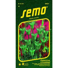 Černuchou VÝCHODNÍ TRANSFORMER 1g - SEMO | FLORASYSTEM