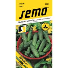 OKURKY NAKL SONADA F1 1,5g - SEMO | FLORASYSTEM