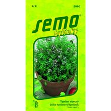 Tymián obecný 0,2g - FLORASYSTEM