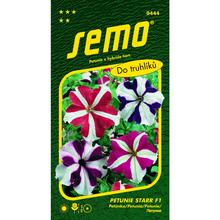 Petúnie MNOHOKV. STARR F1 30p - SEMO | FLORASYSTEM