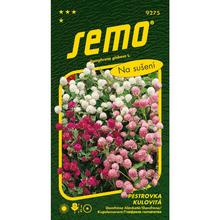 GOMFRÉNA Hlávka SMĚS 0,5g - SEMO | FLORASYSTEM