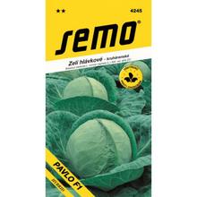 ZELÍ pozd. PAVLA F1 40s - SEMO | FLORASYSTEM
