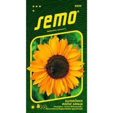 SLUNEČNICE ROČNÍ SONJA / SORAYA / 15s - FLORASYSTEM