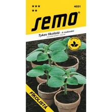 DÝNĚ FIKOLISTA, 15S. - FLORASYSTEM