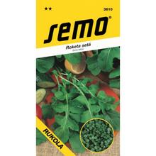 Roketa VOJTĚŠKA rukola 4g - FLORASYSTEM