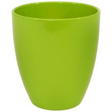 48759 OBAL ORCH.TROPICAL GREEN 620/15 - Obal orchidej | FLORASYSTEM