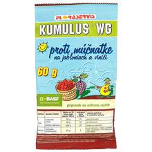 KUMULUS WG 60g - Chemická | FLORASYSTEM