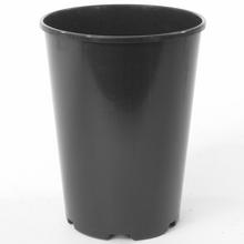 KONTEJNER RUŽE- RP - 3L - Kontejnery | FLORASYSTEM