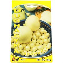 CIBULE SADIAČKA SNOWBALL 200g bílá - Cibuloviny | FLORASYSTEM