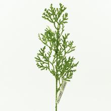 Větvička JEMNÁ ZELENÁ gliter 40cm - FLORASYSTEM