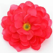 24FLK02-0221 HLAVA CAMELIA cyklu. - Hlavovina ostatní | FLORASYSTEM