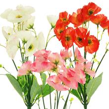 AKCE! 25FLK020269 KYTIČKA Máky MIX BARVA 38cm - Mák, makovice  | FLORASYSTEM