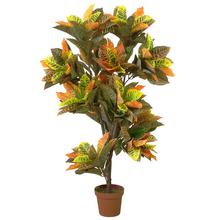 25FLK0805 STROM CROTON 130cm - Umělé stromy | FLORASYSTEM