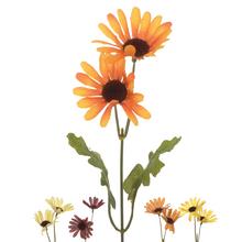 AKCE !! 25020344 kopretiny KS 35cm - Kopretina | FLORASYSTEM