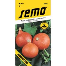 DÝNĚ HOKKAIDO ORANGE 1,5g - SEMO | FLORASYSTEM
