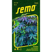 Ricin Sanquin 4g - SEMO | FLORASYSTEM