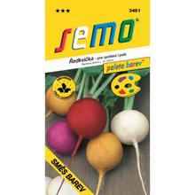 ŘEDKVIČKA SMĚS BAREV 5g - SEMO | FLORASYSTEM