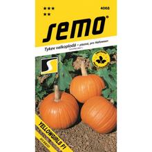 DÝNĚ YELLOWGIRLS F1 3g - SEMO | FLORASYSTEM