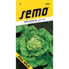 SALÁT JARNÍ KRÁL KVĚTNA 0,6g - SEMO | FLORASYSTEM