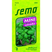 BAZALKA Mammolo GENOVESE 0,8g - SEMO | FLORASYSTEM