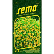 Aksamitník DROB.ŽLTÁ 0,2g - SEMO | FLORASYSTEM