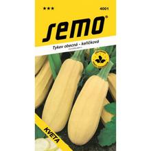 DÝNĚ keříky. KVETA 3g - SEMO | FLORASYSTEM