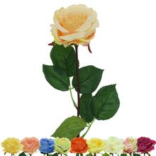 AKCE !! RŮŽE KS MIX 10 FAR. 45CM - FLORASYSTEM