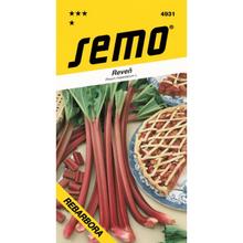 Rebarbory ??Holsteiner Blut 1g - SEMO | FLORASYSTEM