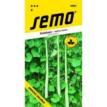 INDICKÁ OKURKA kalabasu 1g - SEMO | FLORASYSTEM