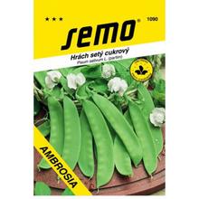 HRÁCH CUK AMBROSIA 30g - SEMO | FLORASYSTEM
