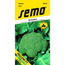 BROKOLICE Fellow F1 30s - SEMO | FLORASYSTEM
