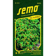 Sanvitalia poléhavý ŽLUTÁ 0,5g - SEMO | FLORASYSTEM