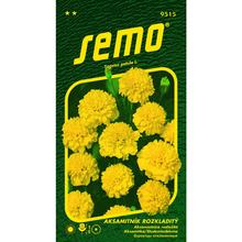 Aksamitník ROZL PETIT ŽLUTÁ 1g - FLORASYSTEM