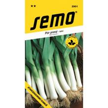 PÓR Starozagorská Kamus 1,20g - SEMO | FLORASYSTEM