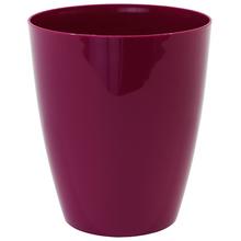 OBAL ORNELLA ORCH.VIŠŇA 13cm - FLORASYSTEM