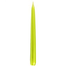Špičaté METAL 25 BL.ZEL - FLORASYSTEM