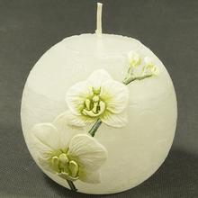 ORCHID. KOULE 80 BÍLÁ-OLIVA - Květiny | FLORASYSTEM