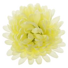 HLAVA chryzantémy světle žlutá 10cm - FLORASYSTEM