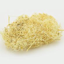 T073 CURLY MOSS 50G - FLORASYSTEM