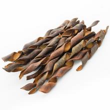 I197P SQURIBAN NAT 20cm - Celoročné | FLORASYSTEM