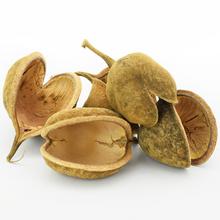T013 budha NUT 1 / 5KS 10-15cm - FLORASYSTEM