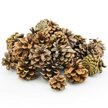 S006PACZ PINUS NIGER EXTRA 500g 5-8cm - Celoročné | FLORASYSTEM