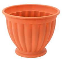 239 MISA GRACZYNKA 21cm - FLORASYSTEM