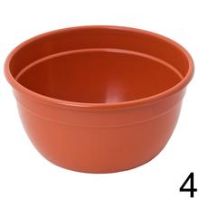 Misa na kvety s rôznymi farbami.