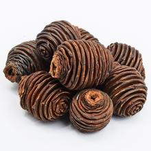 R113PACZ PLATYSPERNUM VELKÉ 250G - Sušený materiál | FLORASYSTEM